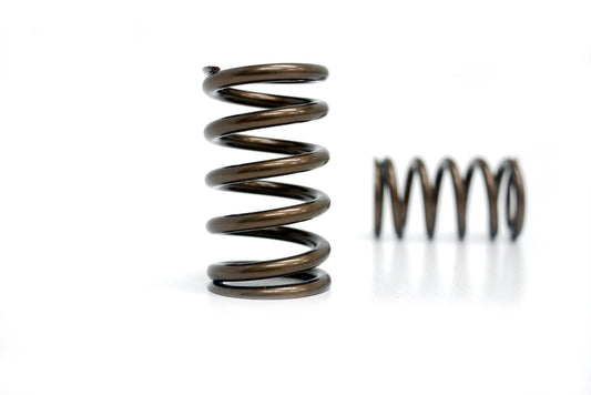 Kelford High Performance Pacaloy valve spring KVS109-STI