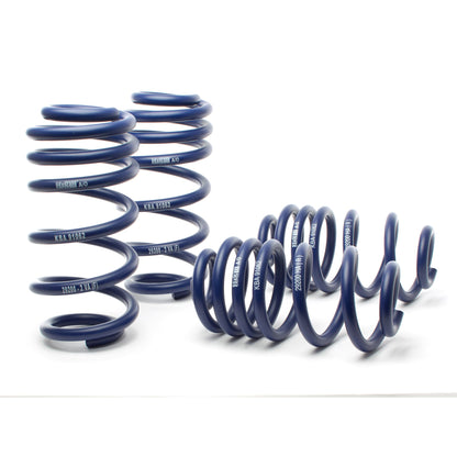 H&R Special Springs Sport Spring Kit 29200-2