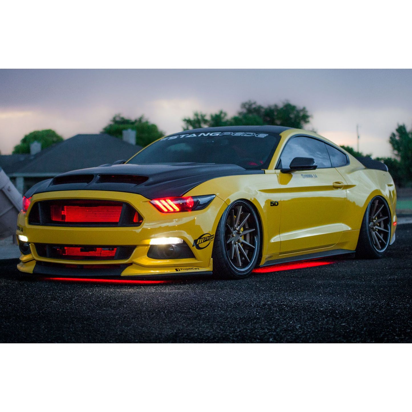Diode Dynamics - DD0442 - RGBW Multicolor Underglow LED Kit