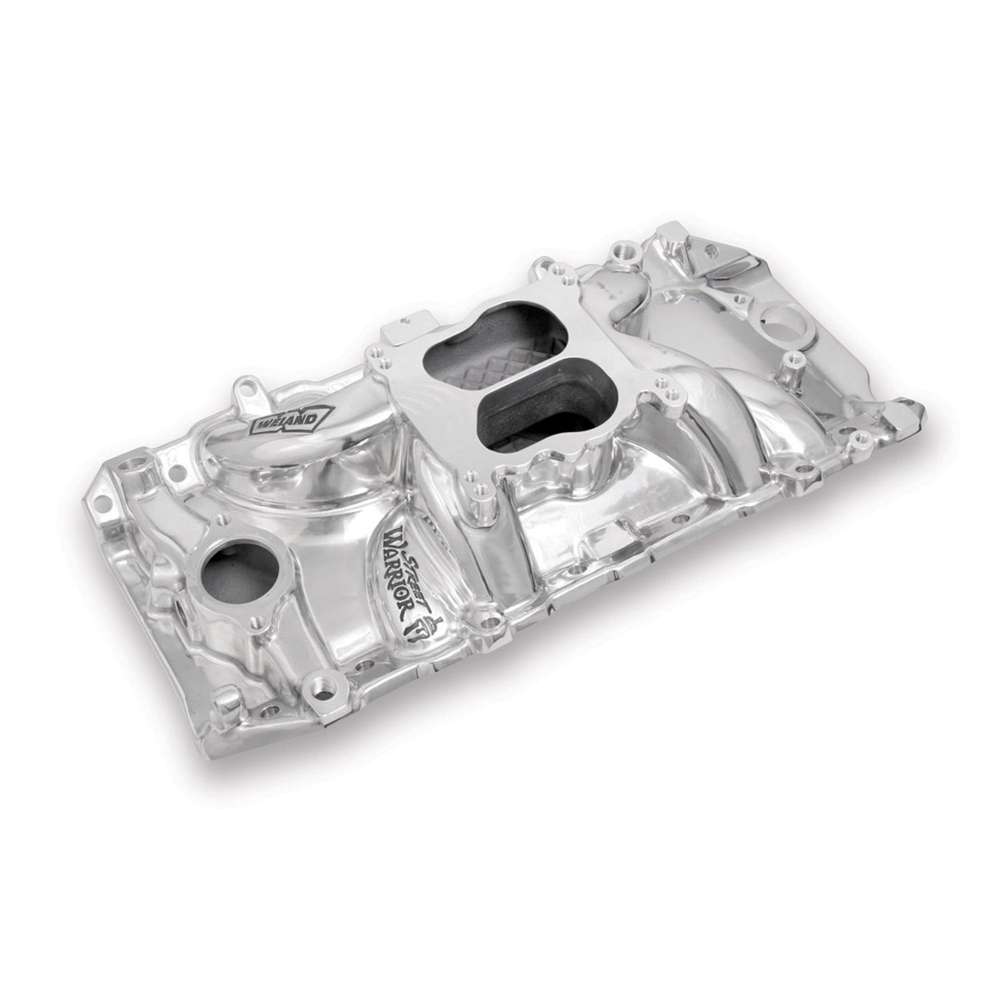 Street Warrior™ Intake Manifold