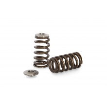 Kelford Valve Springs KVS98
