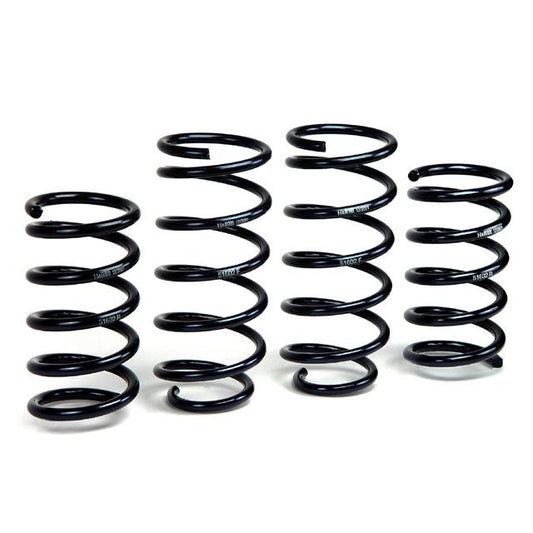 H&R Special Springs Raising Spring Kit 51602