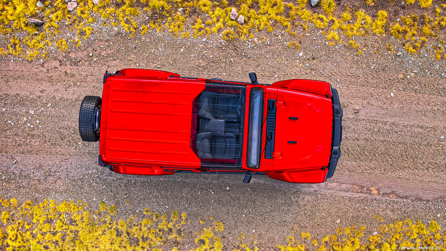 ClearLidz Jeep JL/JT Clear Panorama Hardtop Panel for 18-Present Wrangler JL /JLU and 20-Present Gladiator JT 4 Door ClearLidz CL300