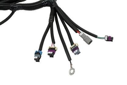 AEM Infinity Series 7 GM LS Plug & Play Engine Harness 30-3532