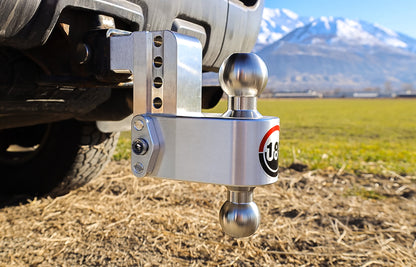 Weigh Safe Turnover Ball 4" Drop Hitch With 2" Shank LTB4-2