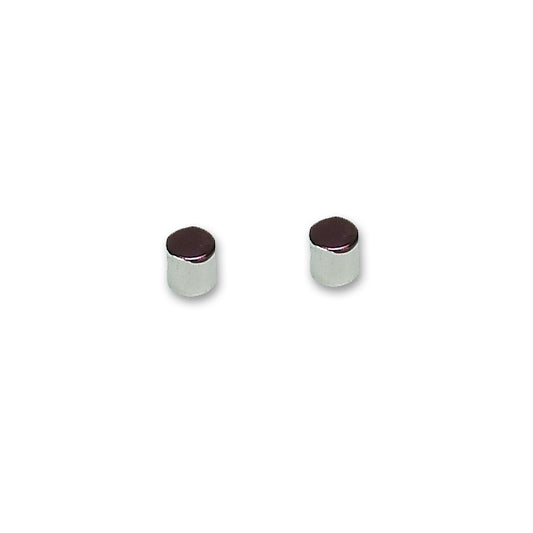 Stack MAGNET KIT (QTY. 2 RARE EARTH MAGNETS FOR RPM SENSOR) ST269362