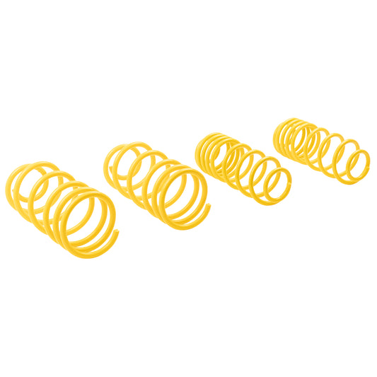 ST Suspensions 66205 ST Lowering Springs - 99-05 VW Golf IV 98-10 Beetle 03-10 Beetle Convertible / 00-06 Audi TT + TT Roadster (8N) 2WD