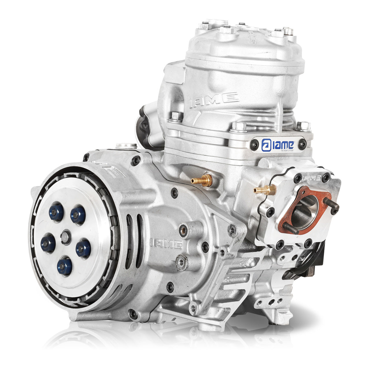 IAME SKUSA 175cc Super Shifter Engine "SSE" CAT-X30-SSE