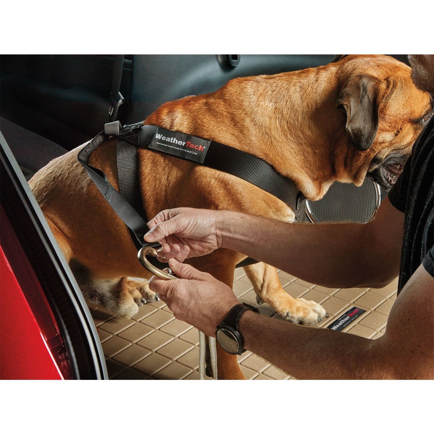 WeatherTech Travel Safe Harness 84PH2427BK