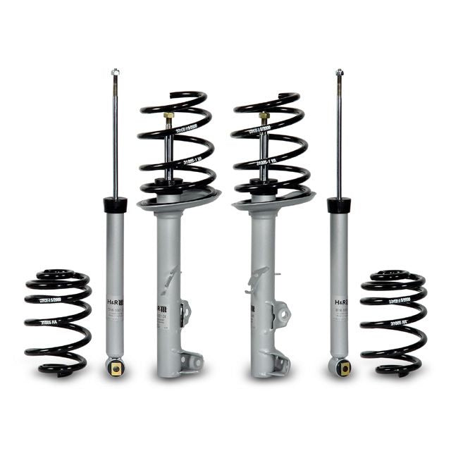 H&R Special Springs Sport Cup Kit 31005-1