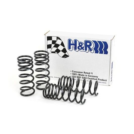 H&R Special Springs Race Spring Kit 29487-1