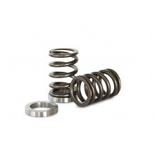 Kelford High performance Valve Spring Set KVS25R