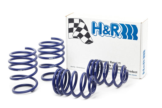 H&R Special Springs Race Spring Kit 29484