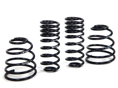 H&R Special Springs Sport Spring Kit 29513