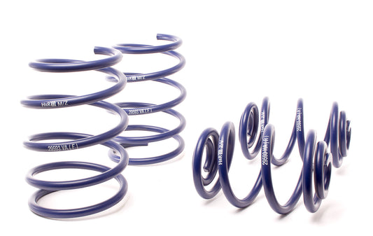H&R Special Springs Race Spring Kit 29593