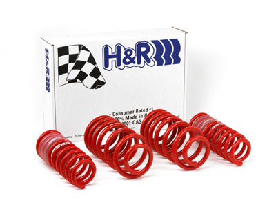 H&R Special Springs Race Spring Kit 29996-1