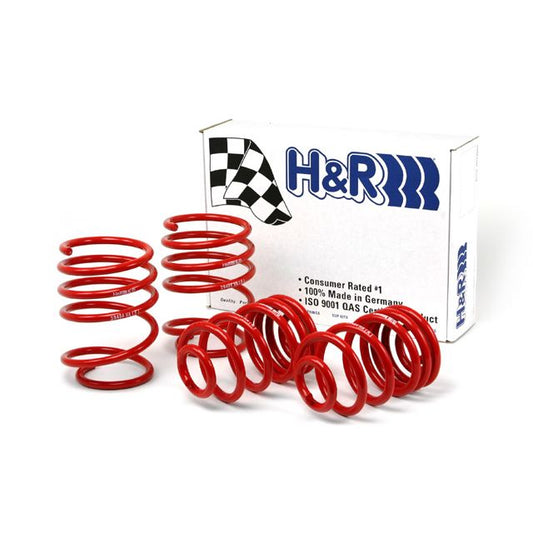 H&R Special Springs Race Spring Kit 29484