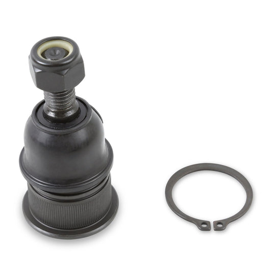 Proforged Ball Joint 101-10493