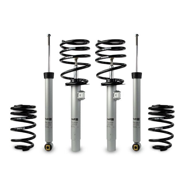 H&R Special Springs Sport Cup Kit 31019-1