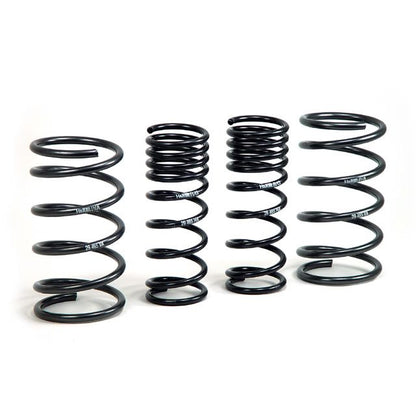 H&R Special Springs Sport Spring Kit 51665