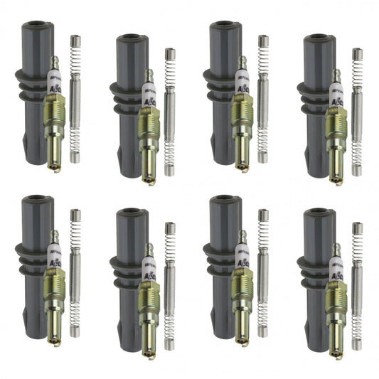 ACCEL Ford 2004-Early 2008 3-Valve Tune Up Kit 811733