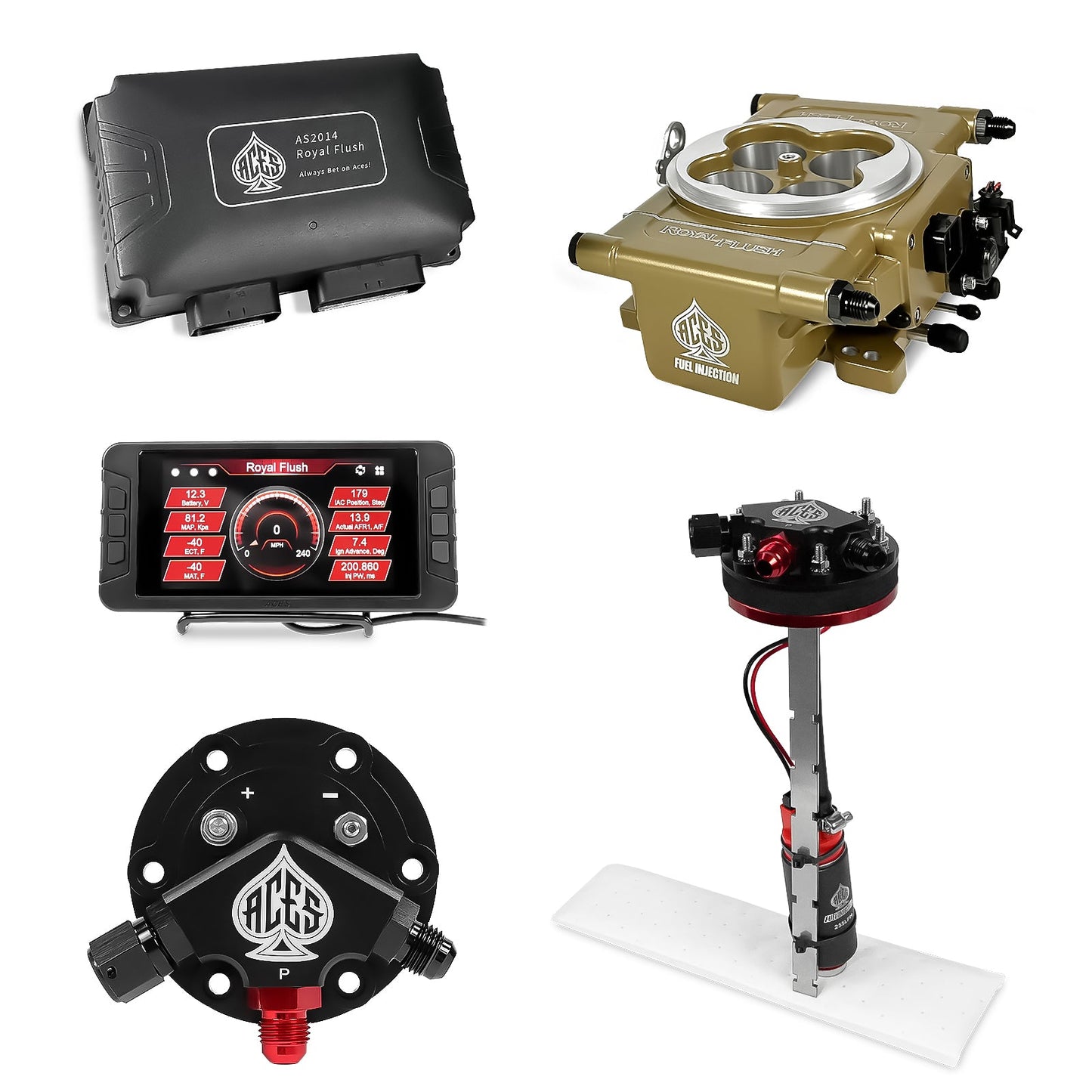 Royal Flush EFI/CDI With Fuel Pump Modules