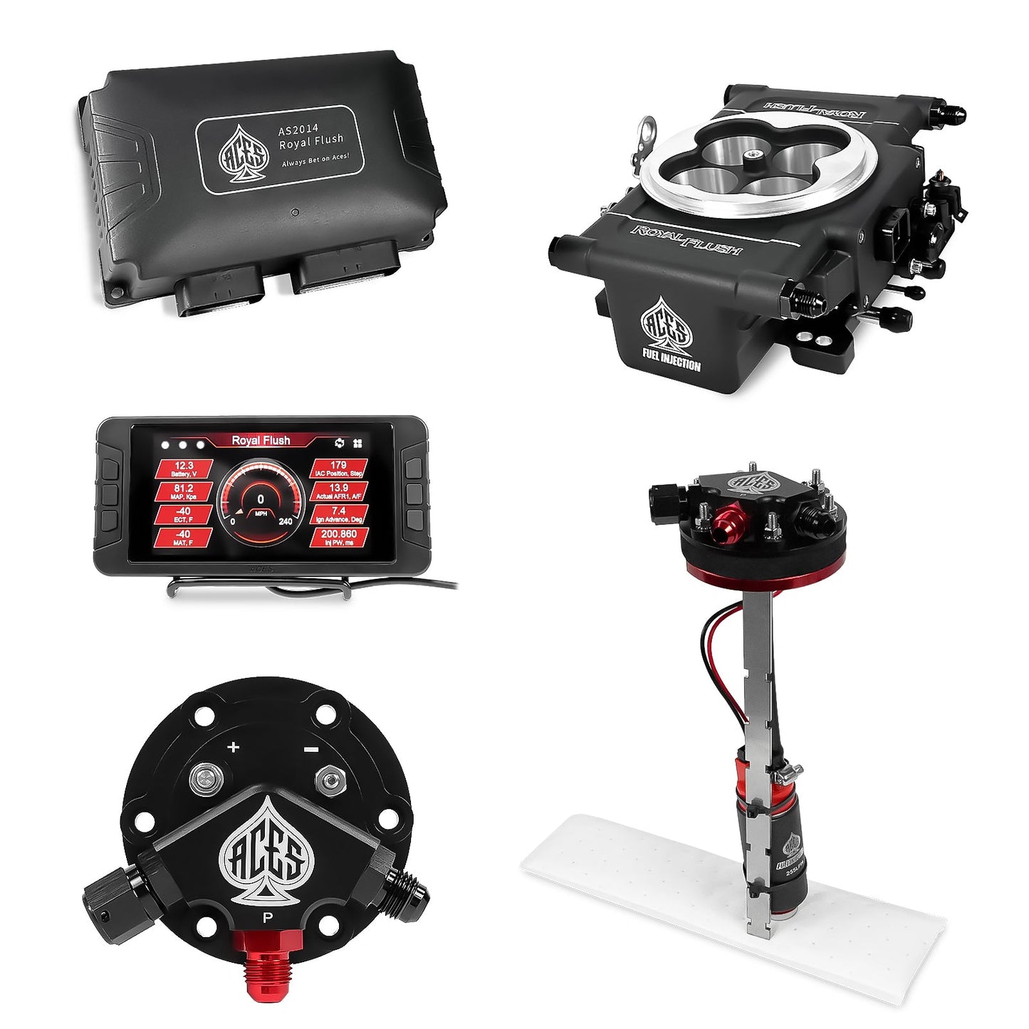 Royal Flush EFI/CDI With Fuel Pump Modules