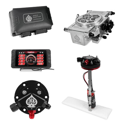 Royal Flush EFI/CDI With Fuel Pump Modules