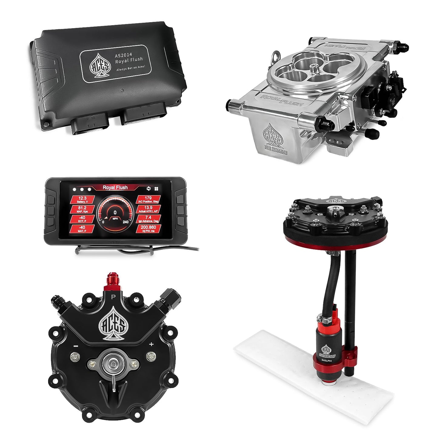 Royal Flush EFI/CDI With Fuel Pump Modules