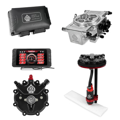 Royal Flush EFI/CDI With Fuel Pump Modules