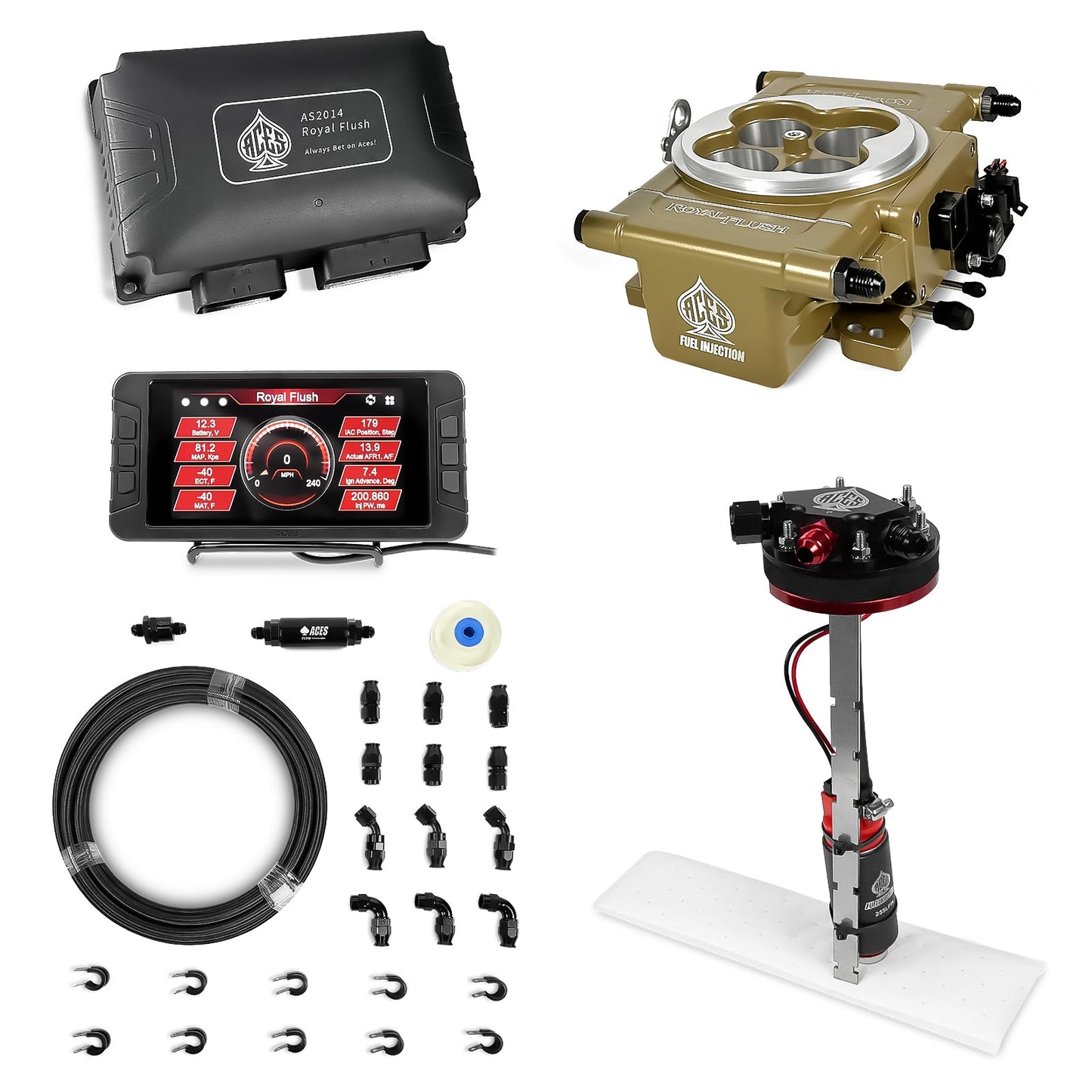 Royal Flush EFI/CDI With Fuel Pump Modules