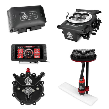 Royal Flush EFI/CDI With Fuel Pump Modules