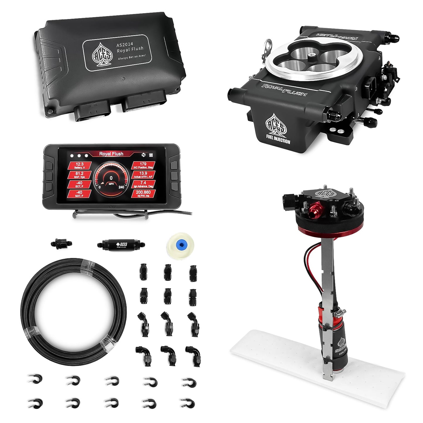 Royal Flush EFI/CDI With Fuel Pump Modules