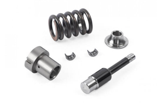 APR High Pressure Fuel Pump Rebuild Kit - 2.9T AND 3.0T EA839 2017 MS100211